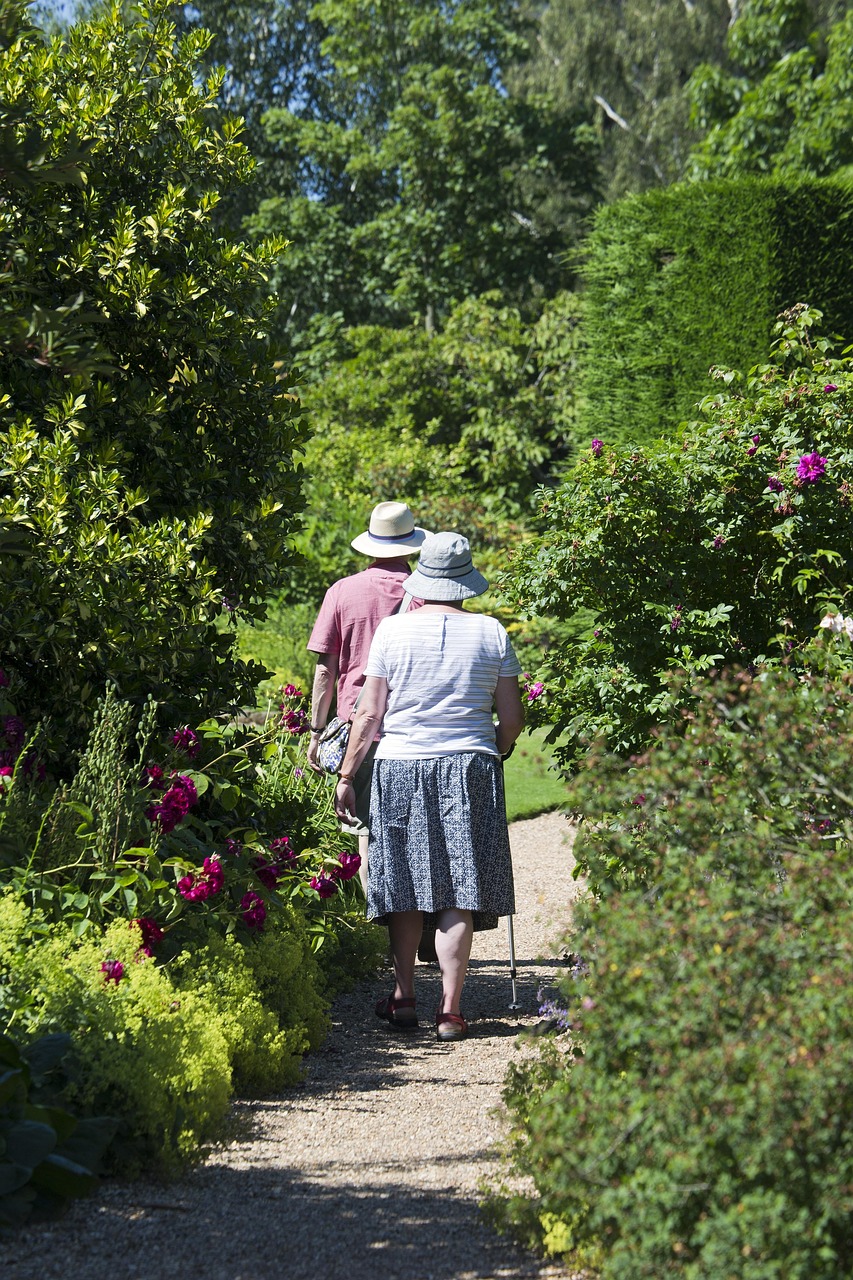 elderly, couple, path, garden, walking, grandparents, bushes, grass, trees, hats, nature, walking stick, sunny, green-829305.jpg